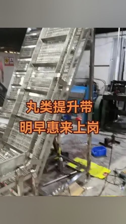 專業(yè)丸類設(shè)備制造商 肉類輸送提升帶 工廠實拍視頻 肉類加工設(shè)備 偉亨食品機(jī)械